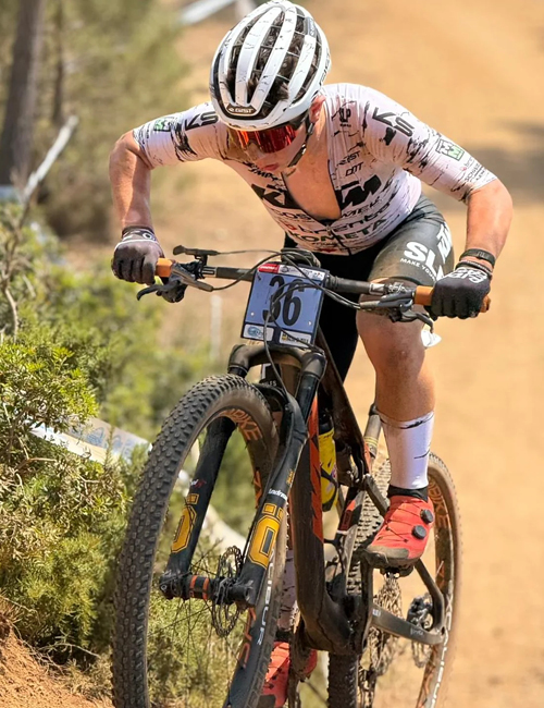 Michele Falciani